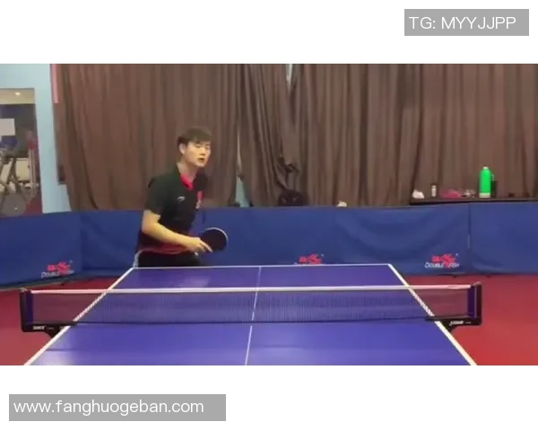 乒乓球战术探秘：西安乒乓球队的区域防守策略与实践分析