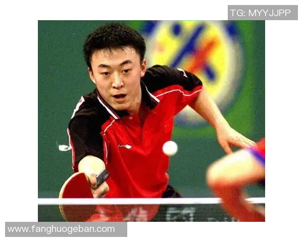 全国锦标赛回顾：杭州乒乓球队凭借丰富经验展现出色竞技状态与团队合作