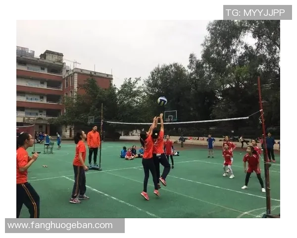 成都排球队在排球战术排行榜中荣获第六名的辉煌成就分析