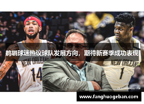 鹈鹕球迷热议球队发展方向，期待新赛季成功表现